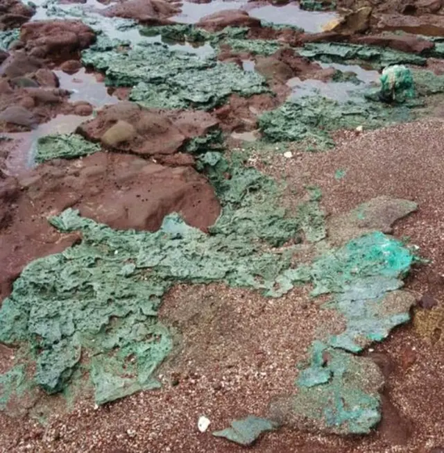 ట్రిండేడ్