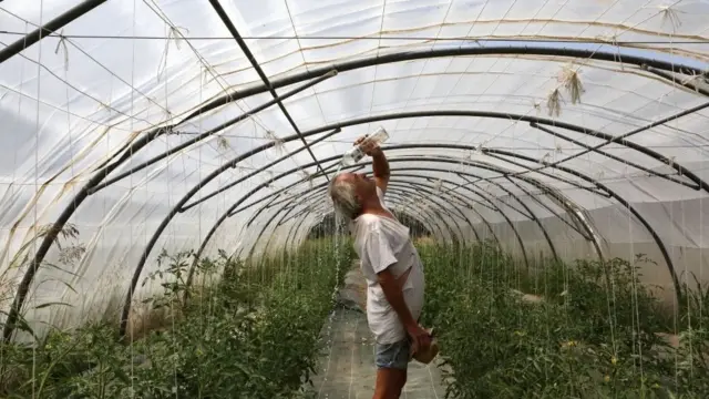 Farmer pours water over himself