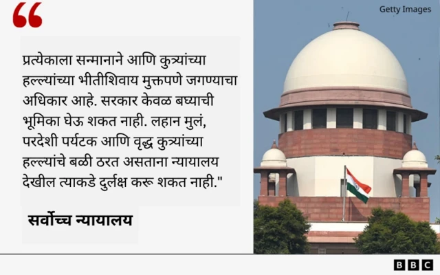 ग्राफिक्स