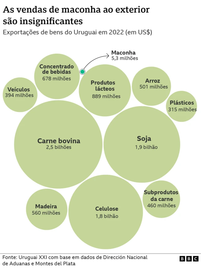 Grafico