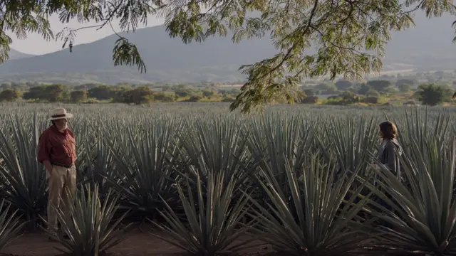 Protagonistas de "Monarca" de Netflix