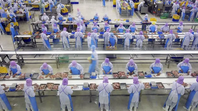 দক্ষিণ কোরিয়ার কারখানায় বিভিন্ন দেশের অনেক শ্রমিক কাজ করেন, যাদের মধ্যে রয়েছে বাংলাদেশিরাও