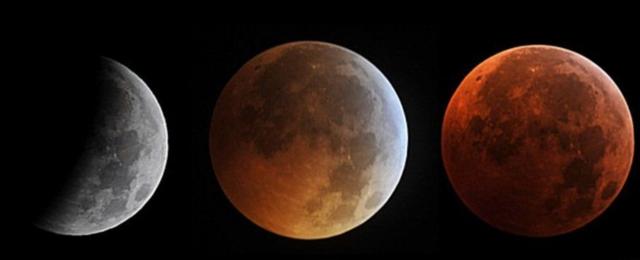 Images showing the different phases of a lunar eclipse in 2010