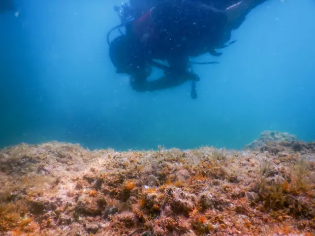 દ્વારકા, ઉત્ખનન, દરિયાના પેટાળમાં સંશોધન, આર્કિયોલોજી, અંડરવોટર ઉત્ખનન, બેટ દ્વારકા, ઓખા, બીબીસી ગુજરાતી