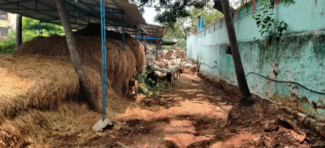 జ్ఞానానంద ఆశ్రమం