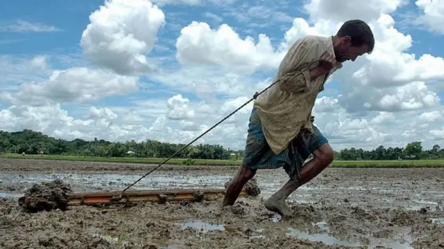 આરબીઆઈ દ્વારા રેપો રેટમાં ઘટાડો, હોમલોન ઓટો લોનના ઈએમઆઈ ઘટશે, શું અસર થશે. ટ્રમ્પના ટેરિફ વૉરની અસર, બીબીસી ગુજરાતી, બીબીસી ન્યૂઝ ગુજરાતી