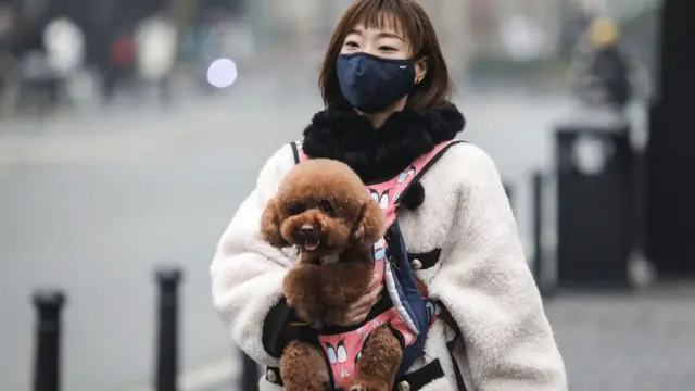 Коронавірус, карантин