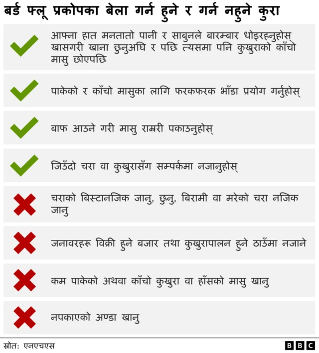 बर्ड फ्लूबाट अपनाउनुपर्ने सावधानी