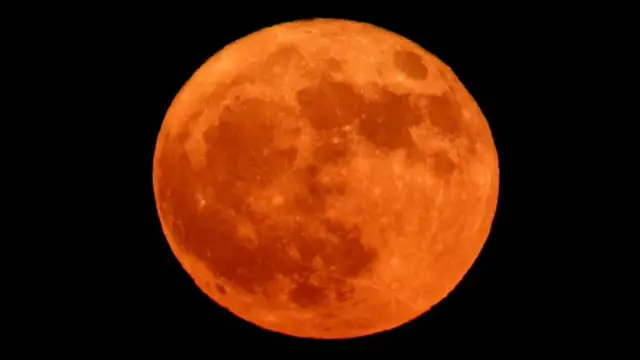 ইসরায়েলের আশকেলনে বাক মুন