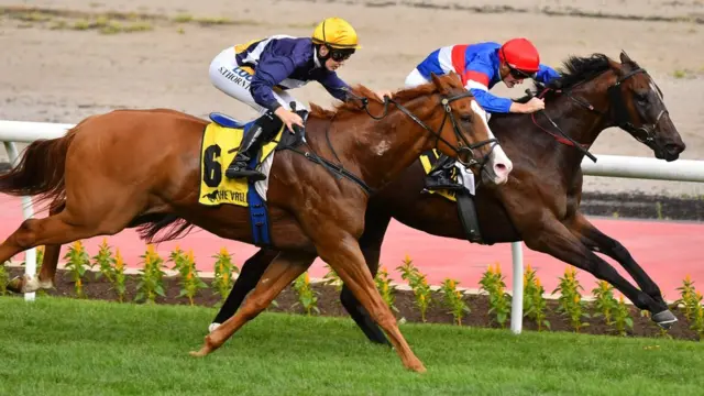 Кінні перегони