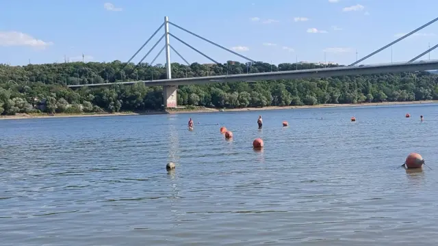 дунав, низак водостај дунава, дунав код новог сада