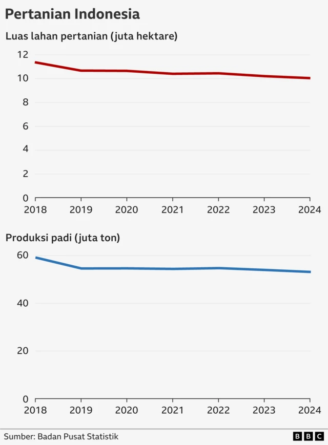 sektor pertanian Indonesia
