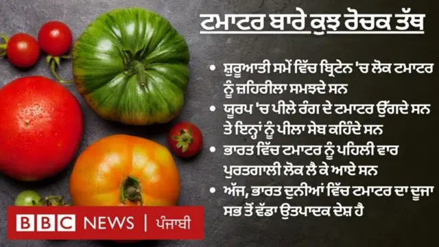 ਟਮਾਟਰ 