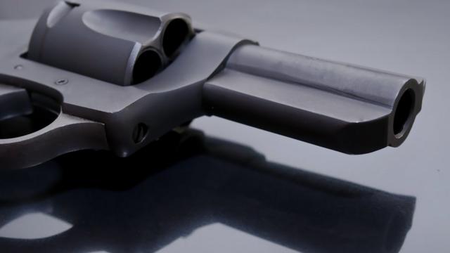 PAN propone legalizar uso de armas no letales para defensa personal