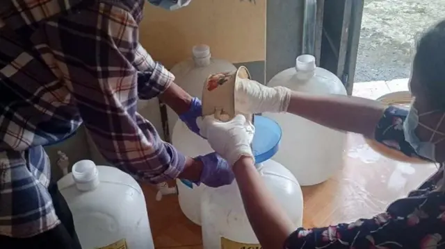 ရောဂါဖြစ်ပွားတဲ့နေရာတွေကို ဖြန့်ဝေဖို့ ကလိုရင်းခတ်နေကြသူတွေ