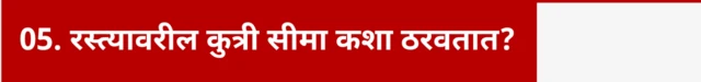 रस्त्यावरील कुत्री सीमा कशा ठरवतात?