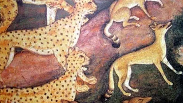 آخرین بار که یوزپلنگی در هند دیده شده به نیم قرن پیش باز می‌گردد