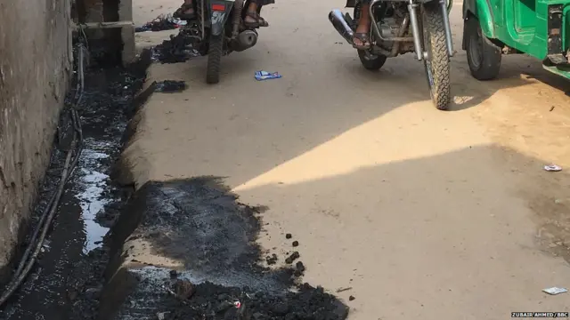 जयपुर ज़ीका