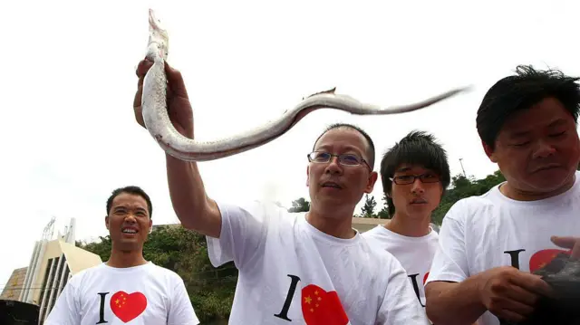 চীন ও জাপানে মাছের এয়ার ব্লাডার রপ্তানির সুযোগ আছে বাংলাদেশের