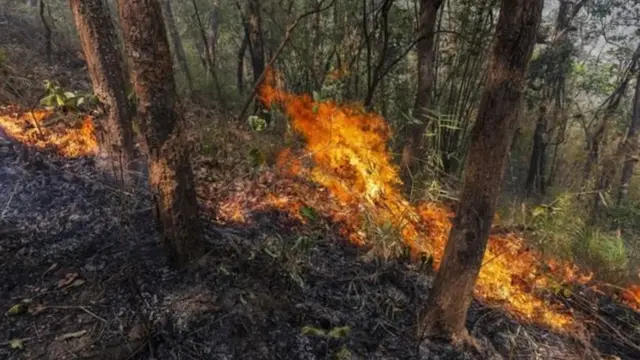 ไฟป่าภาคเหนือ