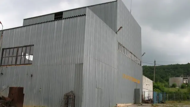 Золото Закарпаття