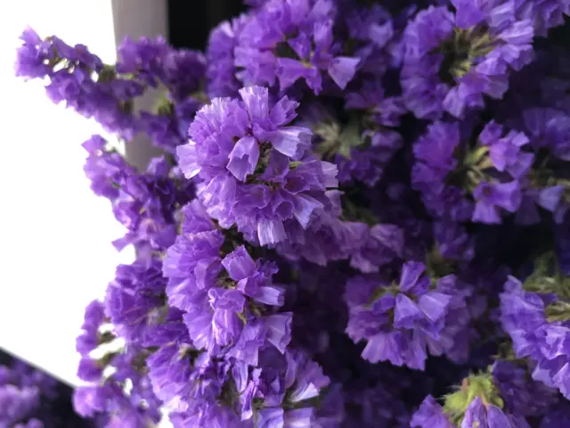 इकेबाना