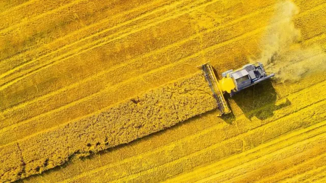 कृषि कार्य