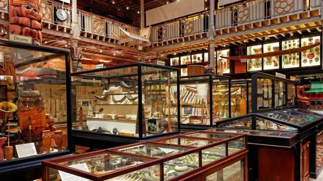 Музей Пітт-Ріверса