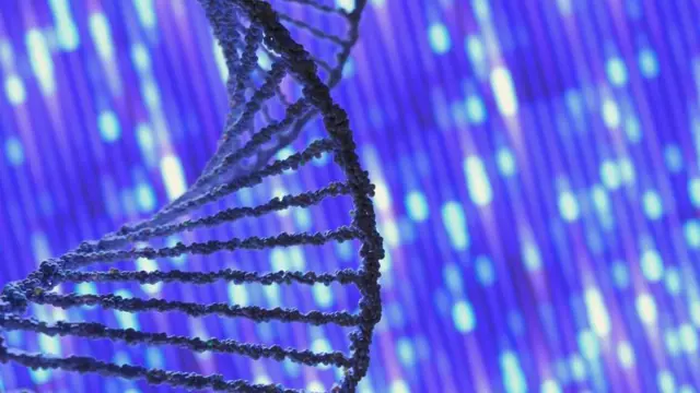 Illustration de la double hélice de la molécule d'ADN