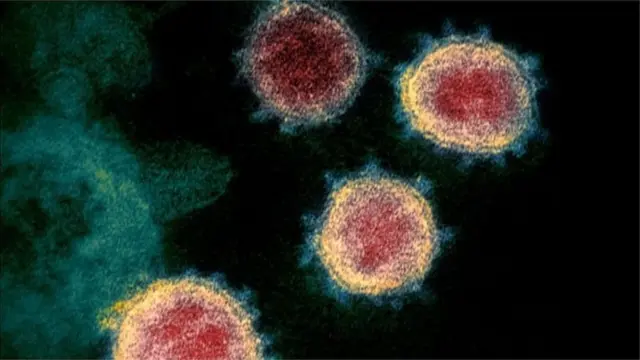 করোনাভাইরাস
