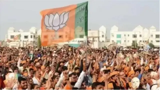 बीजेपी का झंडा