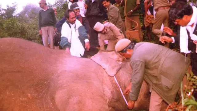 02.மூர்த்தியின் உடல் அளவுகளை அளக்கும் வனத்துறையினர்