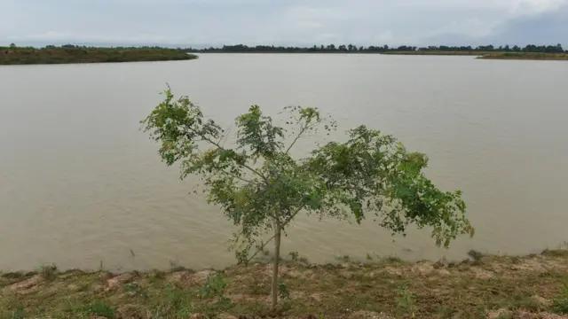 บึงระมาณ