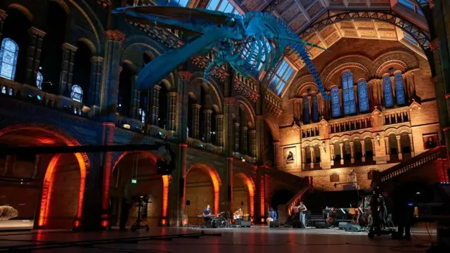 Trustees of Natural History Museum