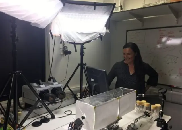 доктор Палома Гонсалес-Беллидо