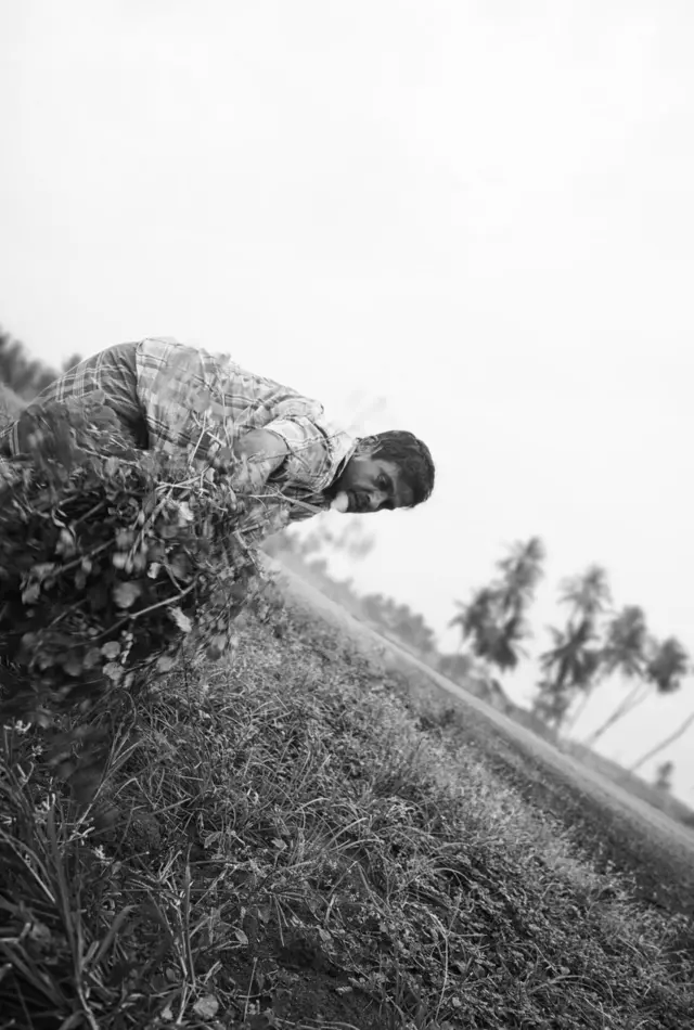 مزارع يعمل في الحقل