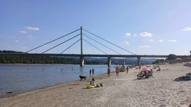 dunav, nizak vodostaj dunava, dunav kod novog sada