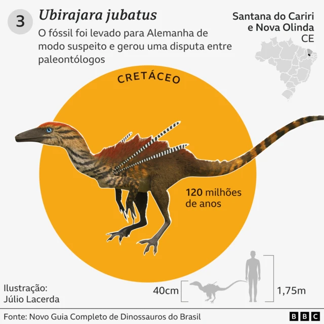 Gráfico com detalhes e curiosidades sobre o Ubirajara jubatus