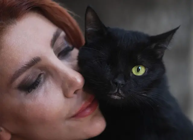 Seekor kucing bernama "Zeytin", yang kehilangan mata kanannya dan mengalami patah tulang belakang setelah ditabrak mobil di Turki.