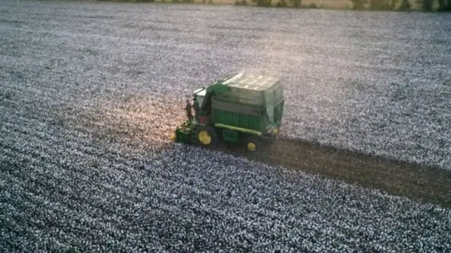 वीगर मुसलमानों से सलूक