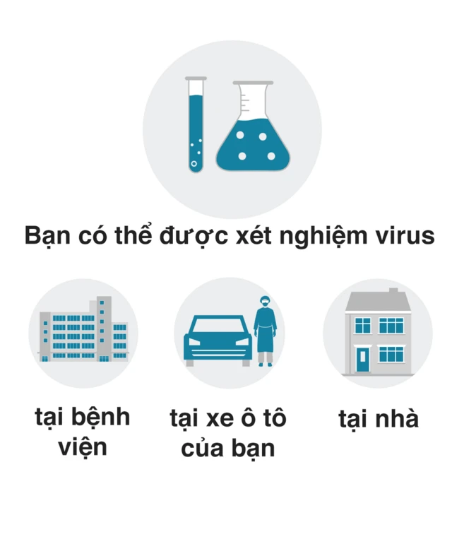 Virus corona