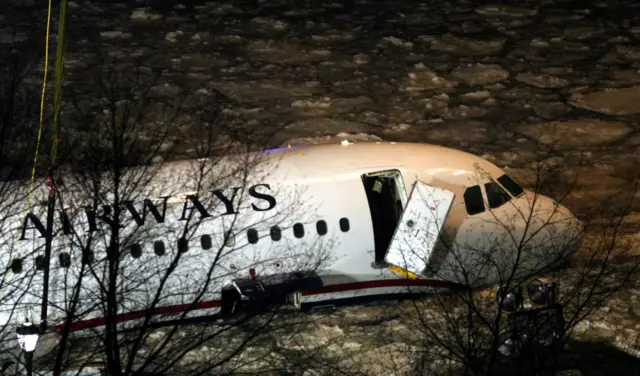 हडसन नदीवर उतरवलेलं विमान 