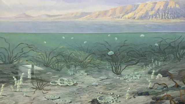 Український венд