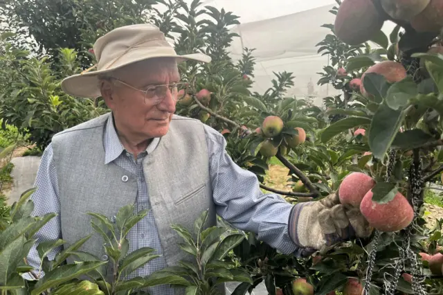 ਹਿਮਾਚਲੀ ਸੇਬ