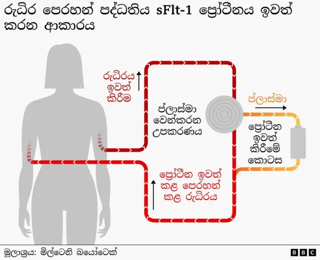 ප්‍රෝටීනය ඉවත් කරන ආකාරය දැක්වෙන ග්‍රැෆික් සටහනකි