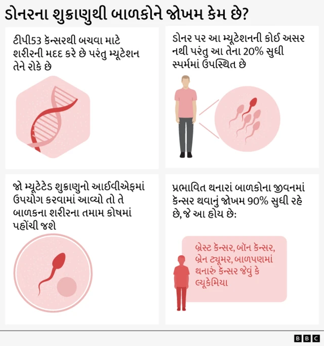 સ્પર્મ ડોનર, વીર્યદાન, સ્પર્મ ડોનરમાં બીમારી, બાળકો ઉપર વારસાગત કેન્સરનું જોખમ, બીબીસી ગુજરાતી સમાચાર