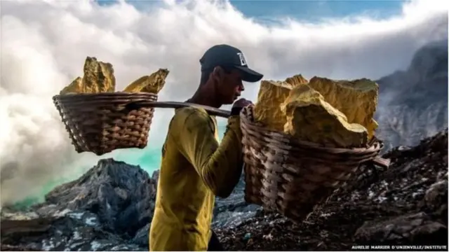 డెవిల్స్ గోల్డ్