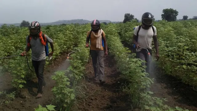 यवतमाळ शेतकरी