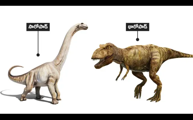 సారోపాడ్, థారోపాడ్ డైనోసార్లు