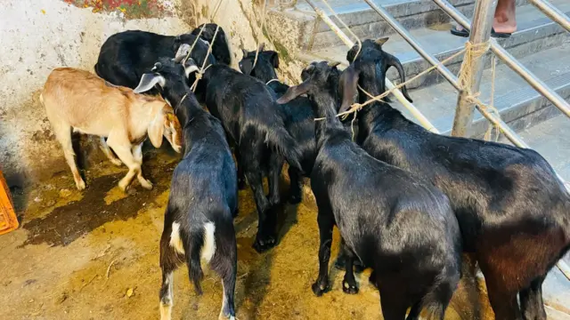 গরু ও খাসির মাংসের দাম গত এক মাস ধরেই বেশি – বিক্রেতারা